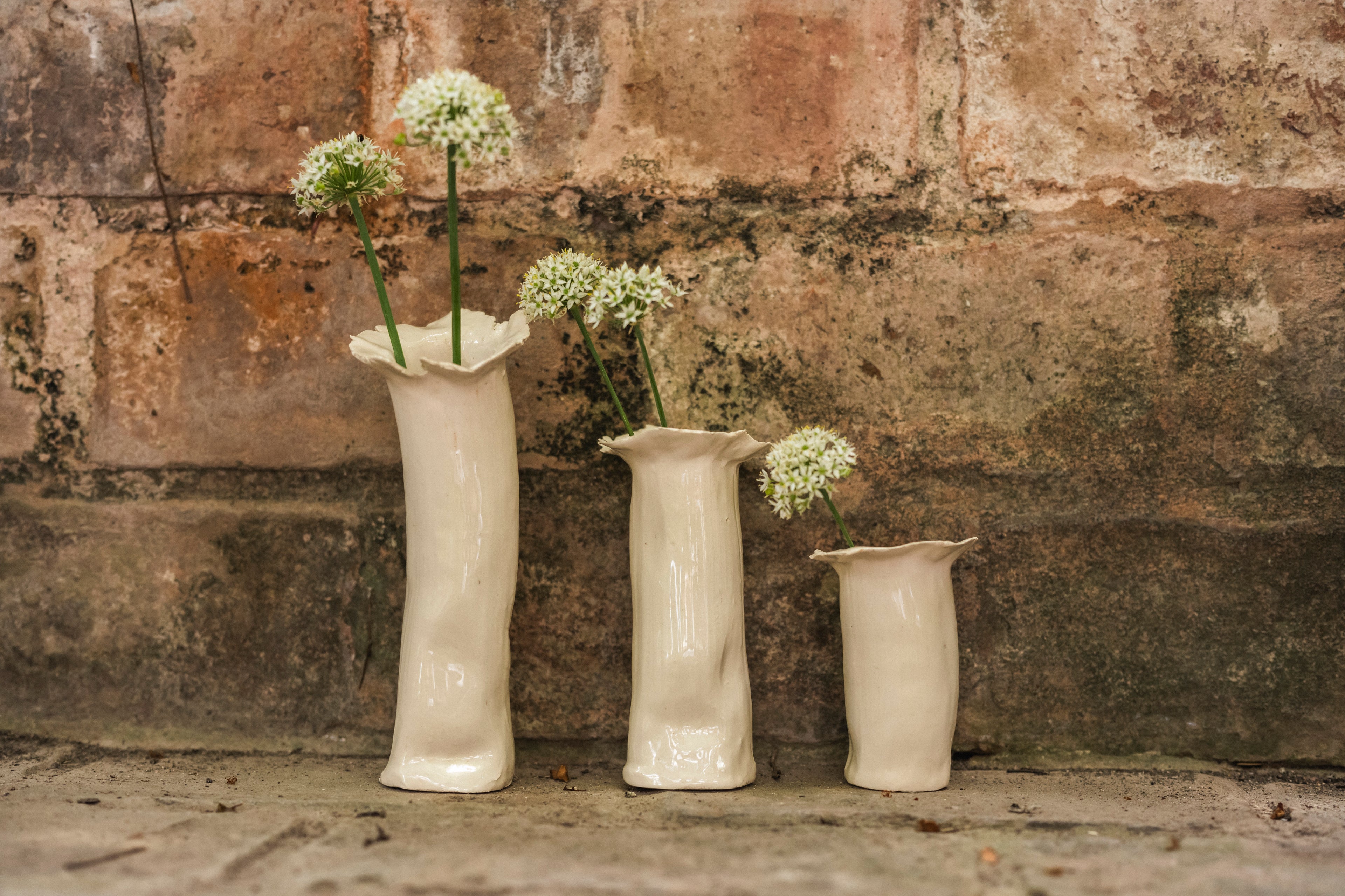 Set de Floreros Begonia lisos