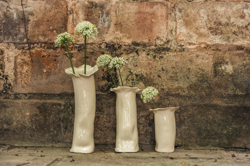 Set de Floreros Begonia lisos