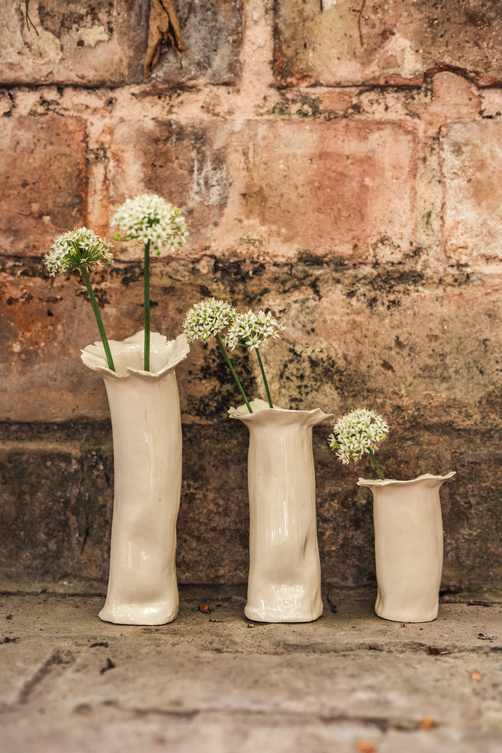 Set de Floreros Begonia lisos