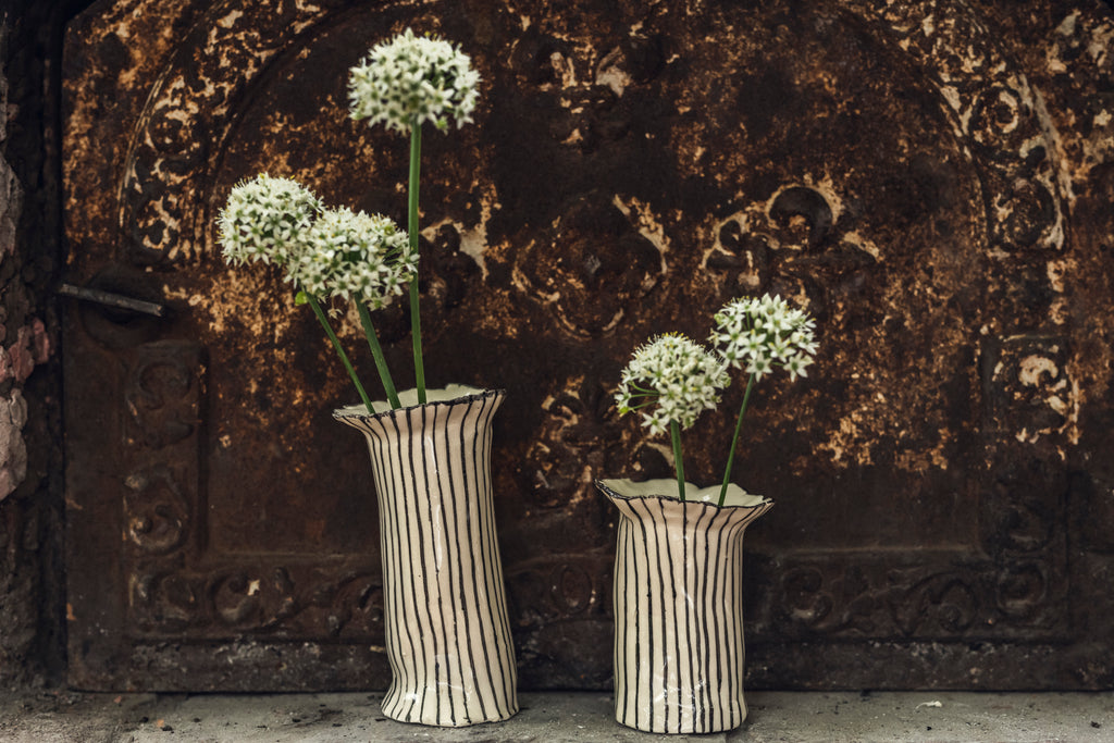 Set de Floreros Begonia rayados