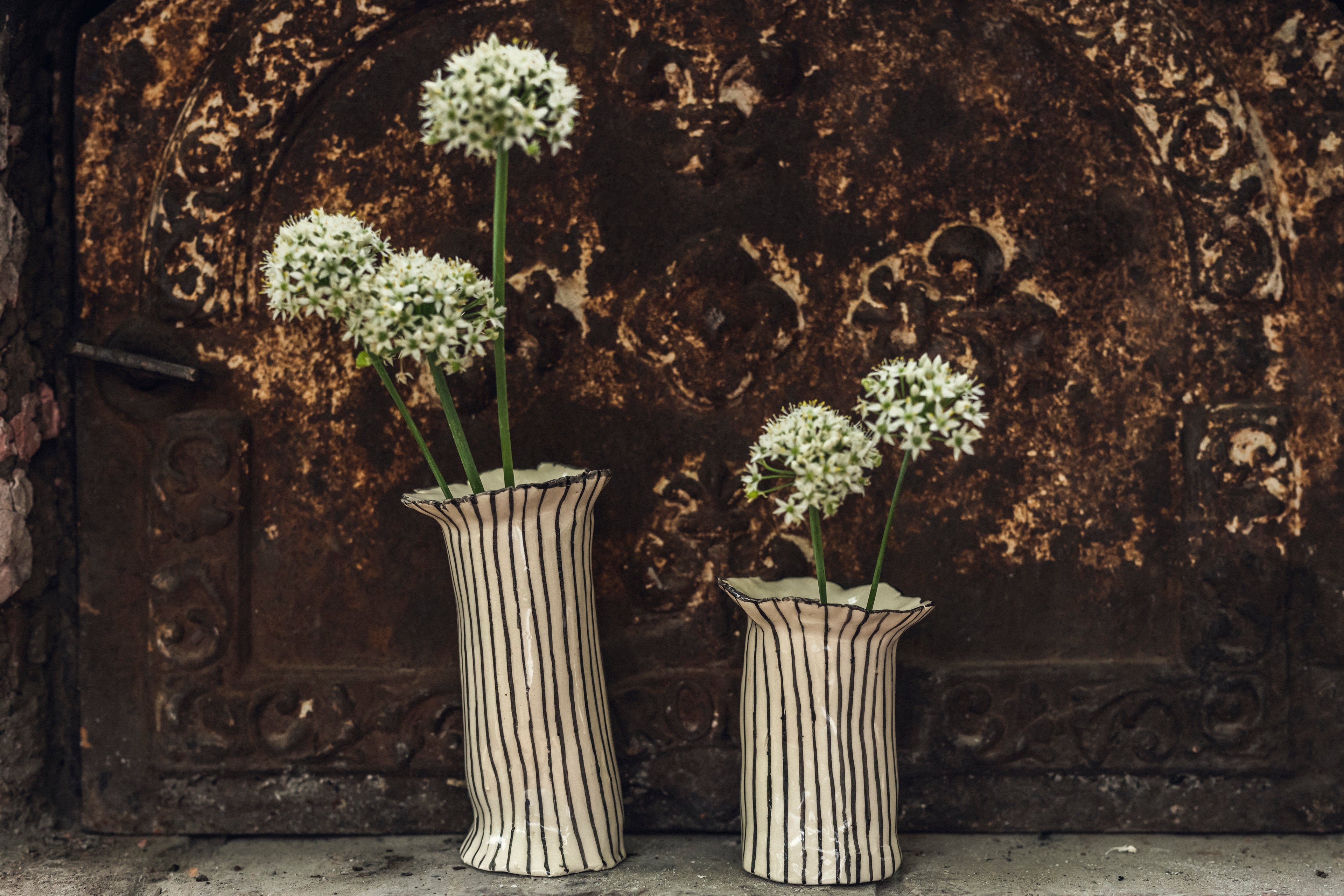 Set de Floreros Begonia rayados