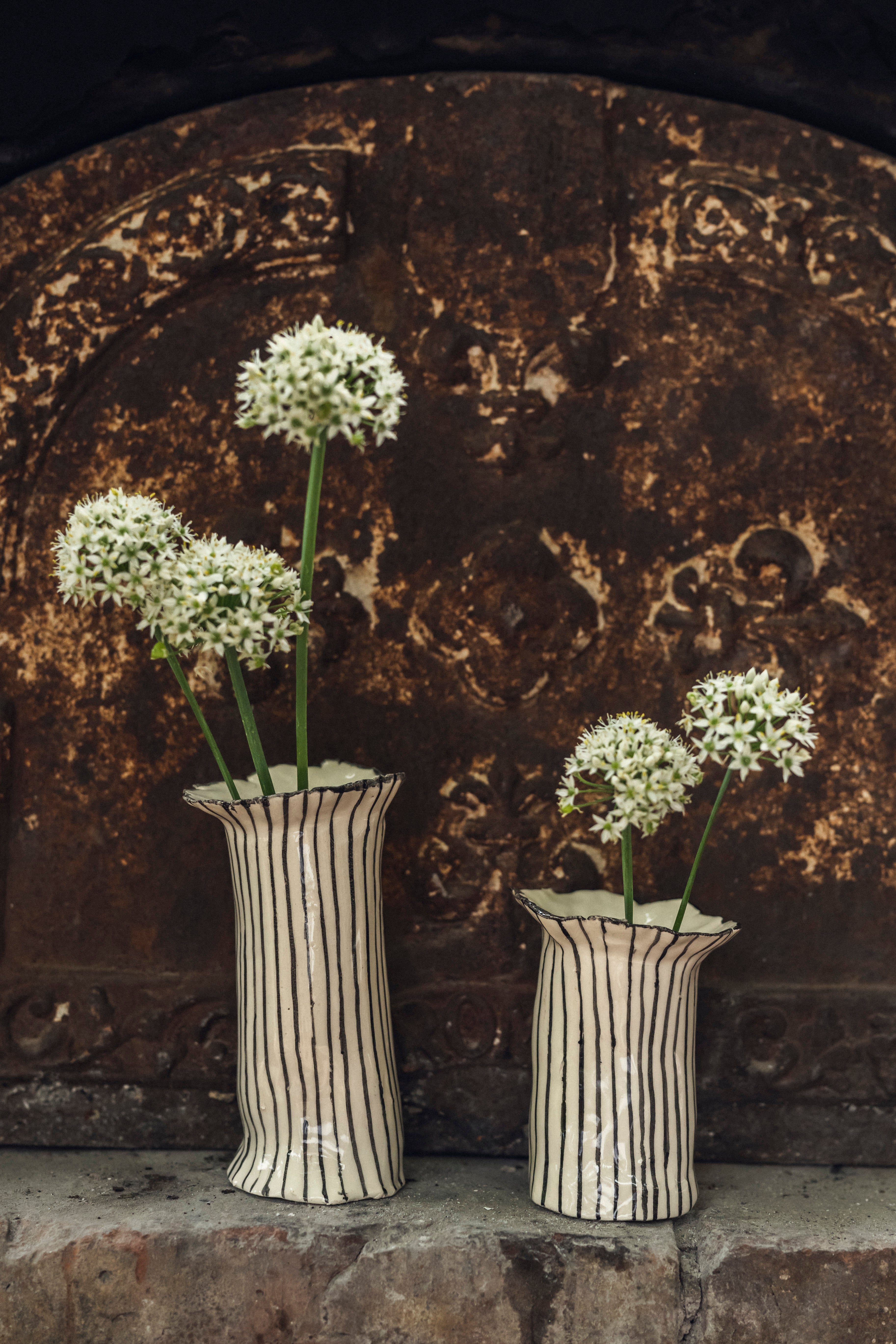 Set de Floreros Begonia rayados